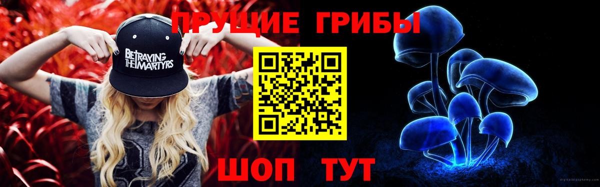 Псилоцибиновые грибы прущие грибы  Вход с VPN  Псилоцибиновые грибы ЛСД  Назрань 